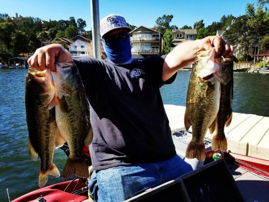 gamblerlures's tweet photo. When you take a #FlappyDaddy to the docks!!!!
#flipping #fishinglure #bassfishing #winning https://t.co/BMEOVDFmHT