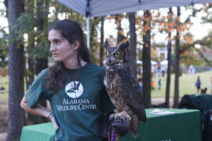 Moss Rock Festival tweet media