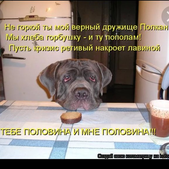 И хлеба горбушку и ту пополам. Худеем без хлеба. Белый батон. И хлеба горбушку и ту пополам. Большая горбушка хлеба.