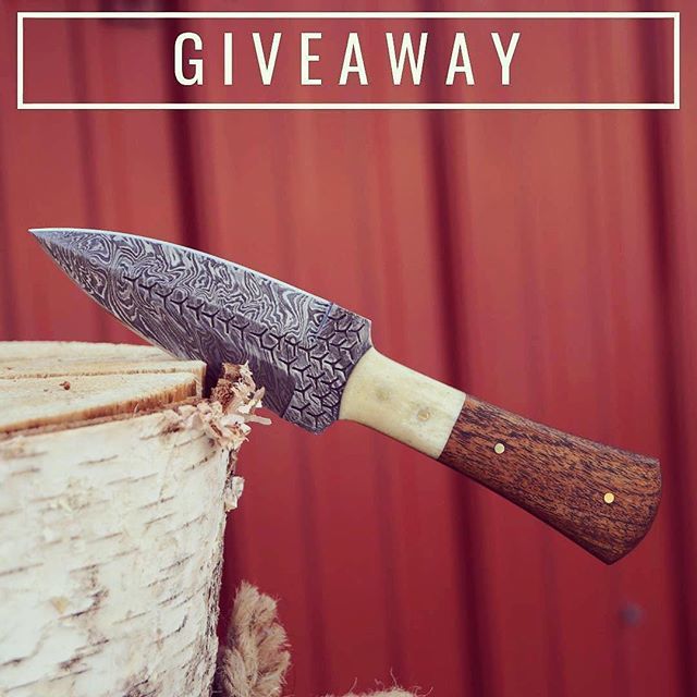 hotpixel's tweet photo. @Regrann from @bucknbearknives - We love our fans and knife enthusiasts! Here is a FREE give away. Rules: repost w/ @bucknbearknives and comment "shared" on this post. Winner will be announced on Wednesday November 7th. Good luck!
#livewithanedge #buckn… https://t.co/0NJpwQzMdO https://t.co/OrrClwFBgq
