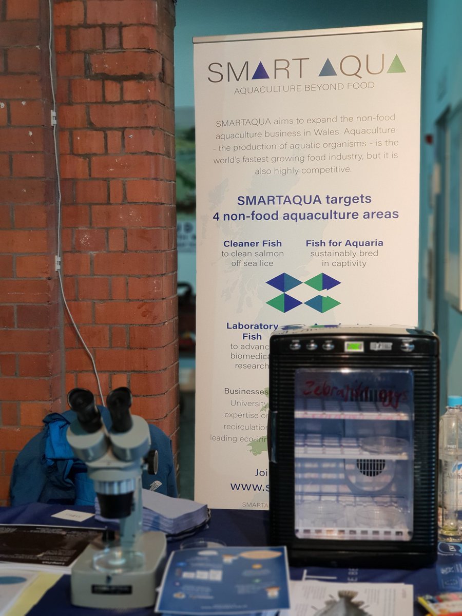 Hard work, but loads of fun #swanseascifest