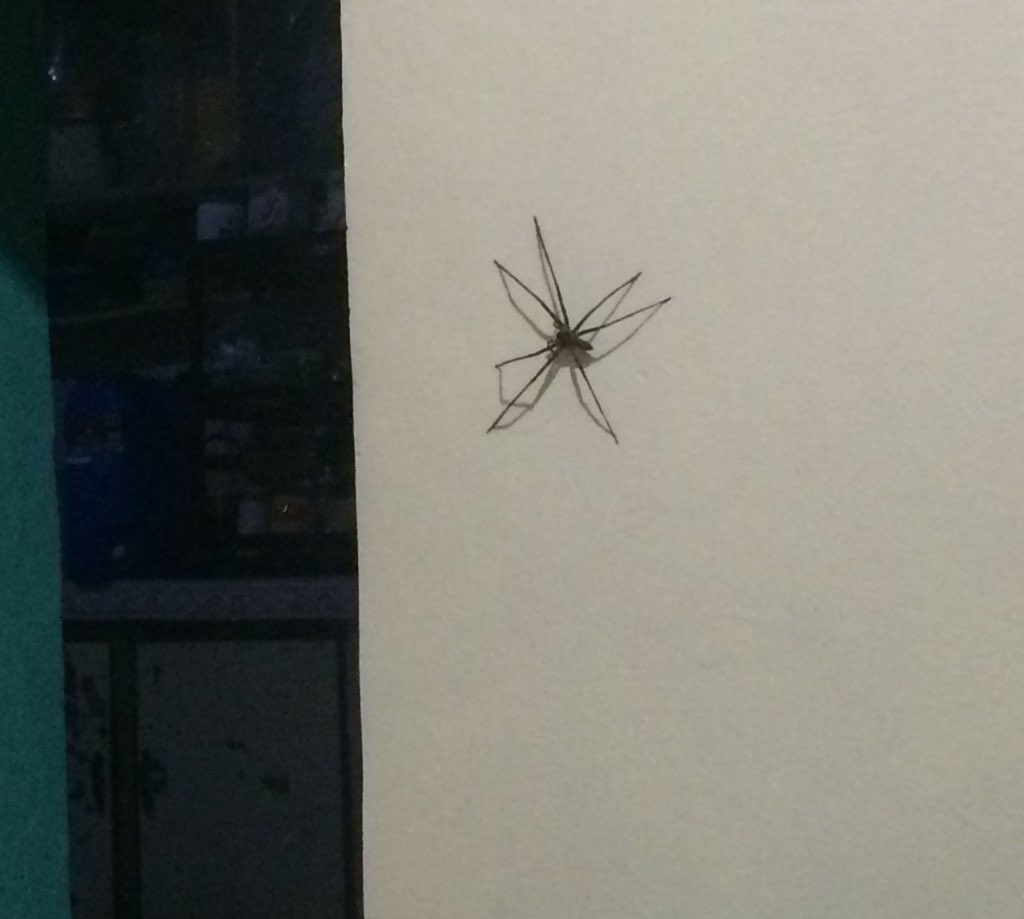 tianisms's tweet image. After the nun eto naman. kaso di ko napanuod ng ayos gawa ng papikit pikit na ako. Tapos after nung The Nun may bisita pa kameng ang laki laking atangya hayoppp. 
#AnInterviewWithGod