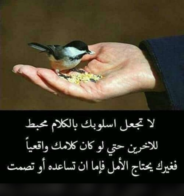 Menessa (@menessa11) on Twitter photo 