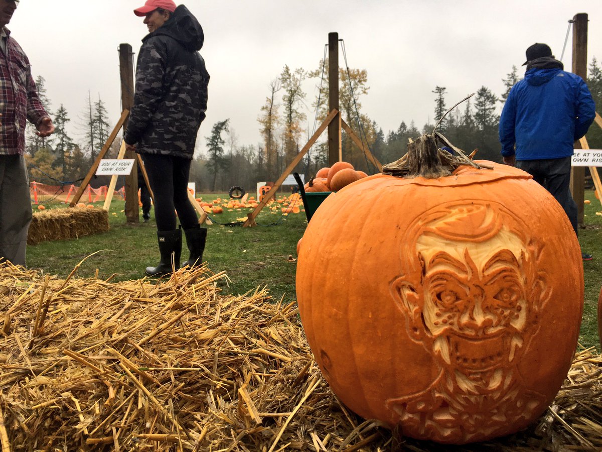 CeilidhMillar's tweet image. Come out and launch your leftover pumpkins on giant slingshots at Heritage Acres in #Saanich until 3:00 PM. All donations go towards supporting @CFCVictoria. See all the smashing 🎃 on @CHEK_News!