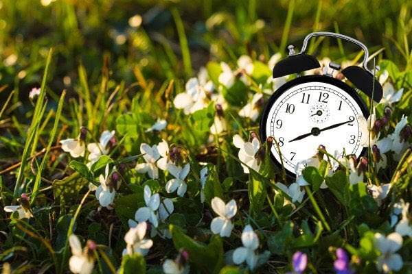 BuzyBeeWine's tweet photo. Don’t forget you get an extra hour of sleep tonight! 🕑 Although after spending at least 45 minutes trying to remember how to change the time on your coffee maker, it’ll basically be wasted. ☕ 
#Daylightsavings
#Daylightsavings2018
#buzybeewine https://t.co/HNJk9EPT95