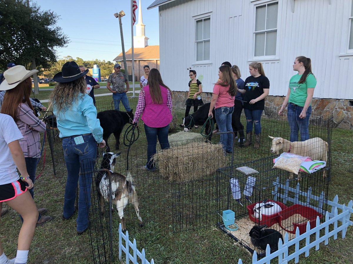 middleburgffa's tweet photo. Our members put together a great petting zoo for First Baptist of Middleburg’s Trunk or Treat on Halloween! Great job everyone! #activatemhsffa #remarkableffa https://t.co/dCMxNdt9T1