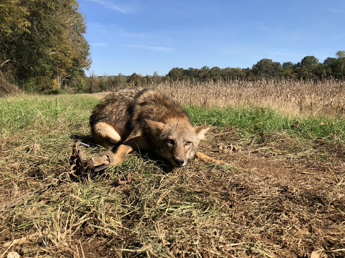 It’s been one of those good days.