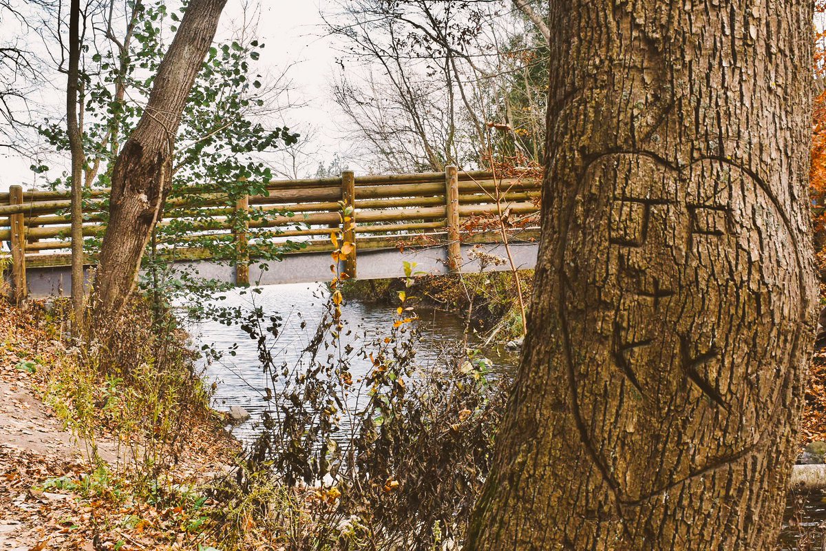 stat_man_steve's tweet photo. #fall @LindseySlaterTV @EbelingArtPhoto https://t.co/xUBVJq4hse