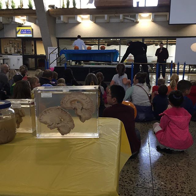 LethbridgeiGEM's tweet photo. Spooky Science night at the UofL #uleth #spooky #explodingpumpkins https://t.co/COTZvfWX5g