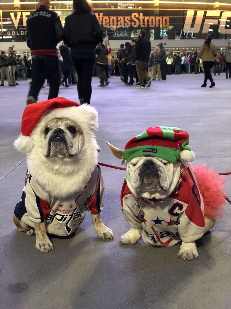 OvietheBulldog's tweet photo. @MissqSusan @doodle_winston @BlakesWheels Here’s me and @SaffyBean hanging out in Vegas last year for the #CapsVGK gam! Hope you feel better! https://t.co/Nq0jQwszJr