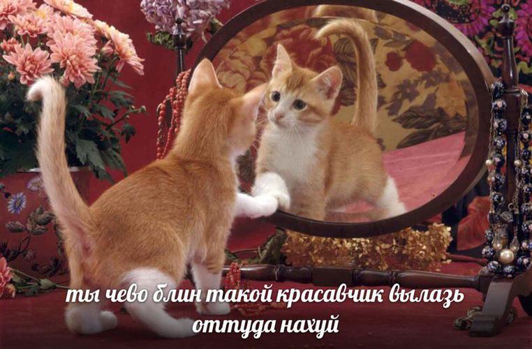 DrHTEz7XcAAl_Tg?format=jpg&name=900x900