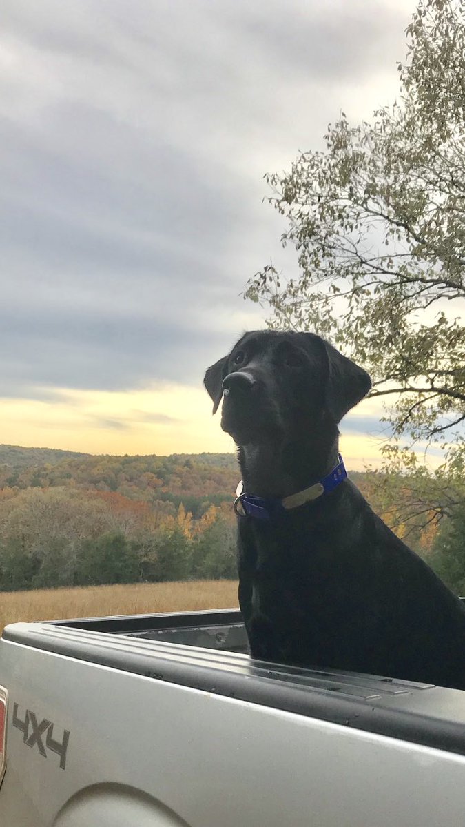 KennyPitts5's tweet photo. Magnum had a good day at the farm. #hiddencreek https://t.co/pQuWZA7EqW