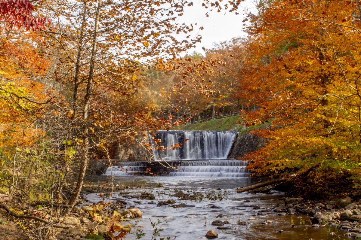 ashleyhallphoto's tweet photo. #douthatstatepark #nikonfallva #fall @visitvbr @VisitVirginia @VAStateParks @BRCmagazine @yourtake @ScenicAmerica @scenicvirginia @VirginiaLiving https://t.co/hLsObnBvUk