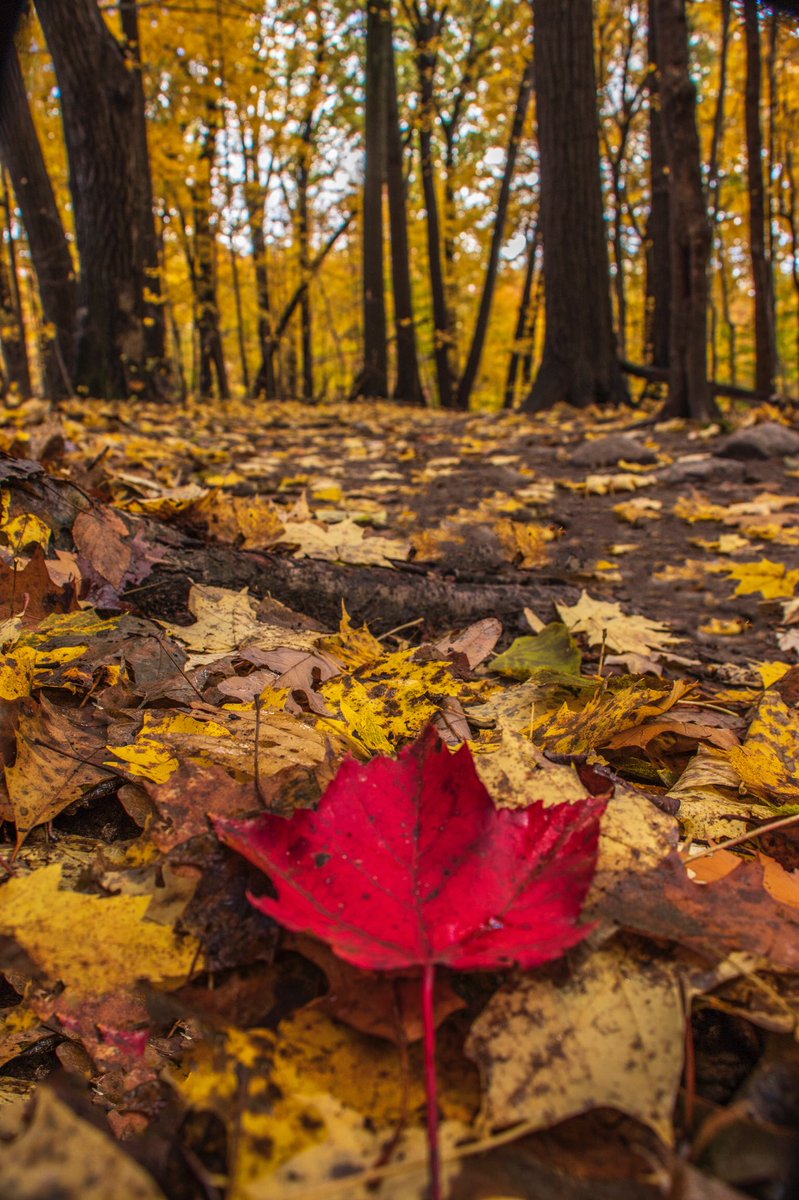 CoachBoarman's tweet photo. Just a few things I got to enjoy today. @EmilyBoarman https://t.co/PxKyGzGzbW