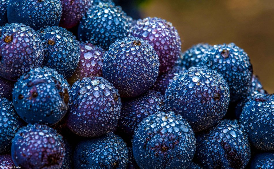 RT <a href="/wineworldnews/">wineworldnews</a>: How To Take Part In International Wine Photography Day bit.ly/2zq5yLT <a href="/DemiCassiani/">Demi Cassiani</a> <a href="/winewankers/">The Wine Wankers 🍾🤛🎉🥂</a> <a href="/JMiquelWine/">Julien Miquel #Wine</a> <a href="/RandallGrahm/">Randall Grahm</a> <a href="/kiwiandkoala/">WineWalkabout</a> <a href="/KellyMitchell/">Kelly Mitchell #TheWineSiren</a> <a href="/damewine/">Cathrine Todd</a> <a href="/LoriMoreno/">#InfluencerMarketing Host</a>  #winetalks