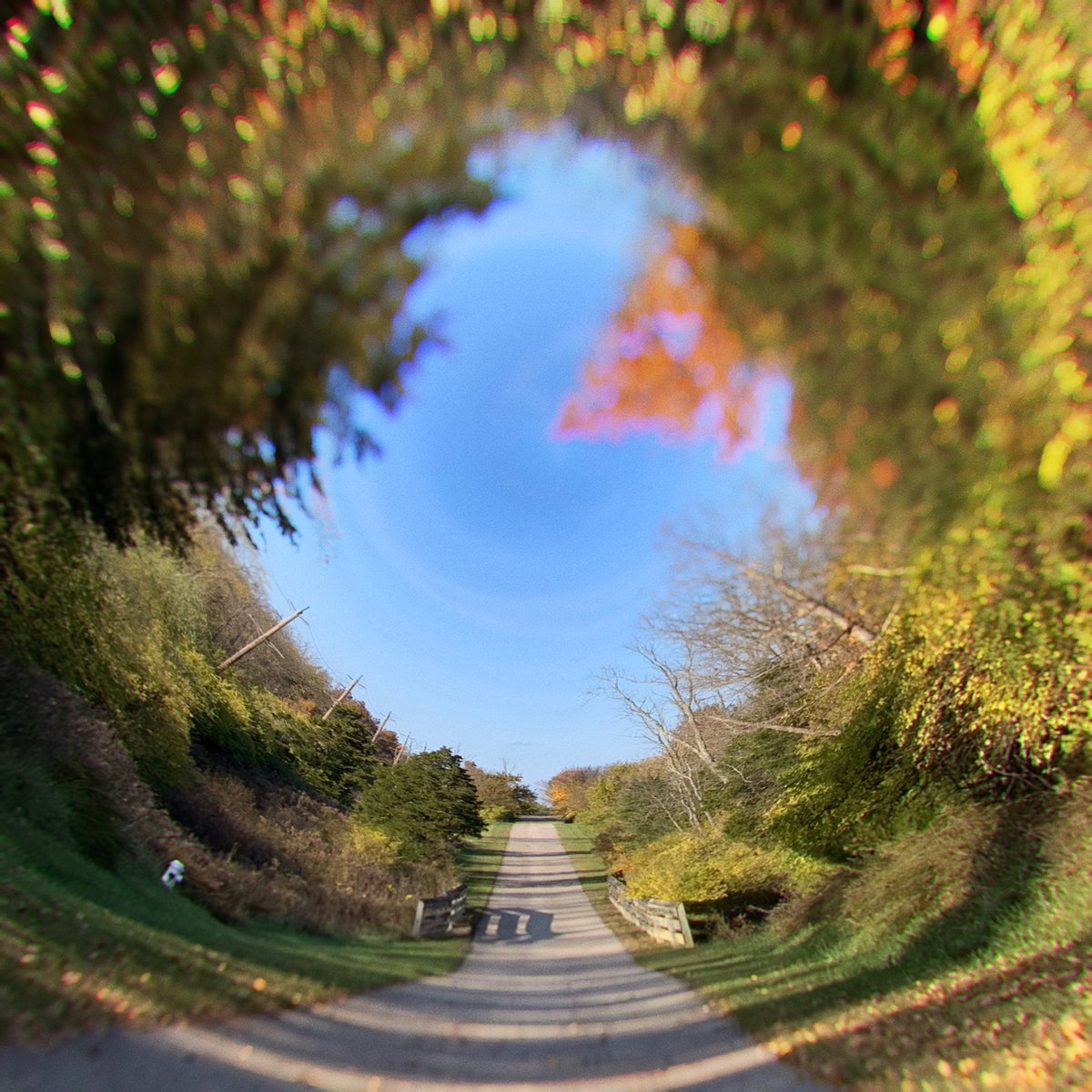 brainfevermedia's tweet image. Circular Seasons. #CircularApp #GlassApp