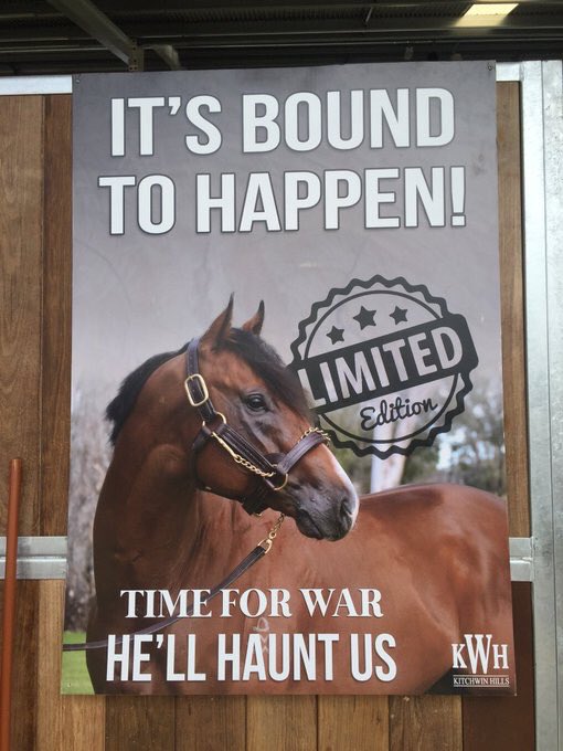 Darby_Racing's tweet image. It was bound to happen #TimeForWar @KitchwinHills #HewillHauntUs #Leading1stSeasonSire 
#TimeToReign #GoldenSlipperBound