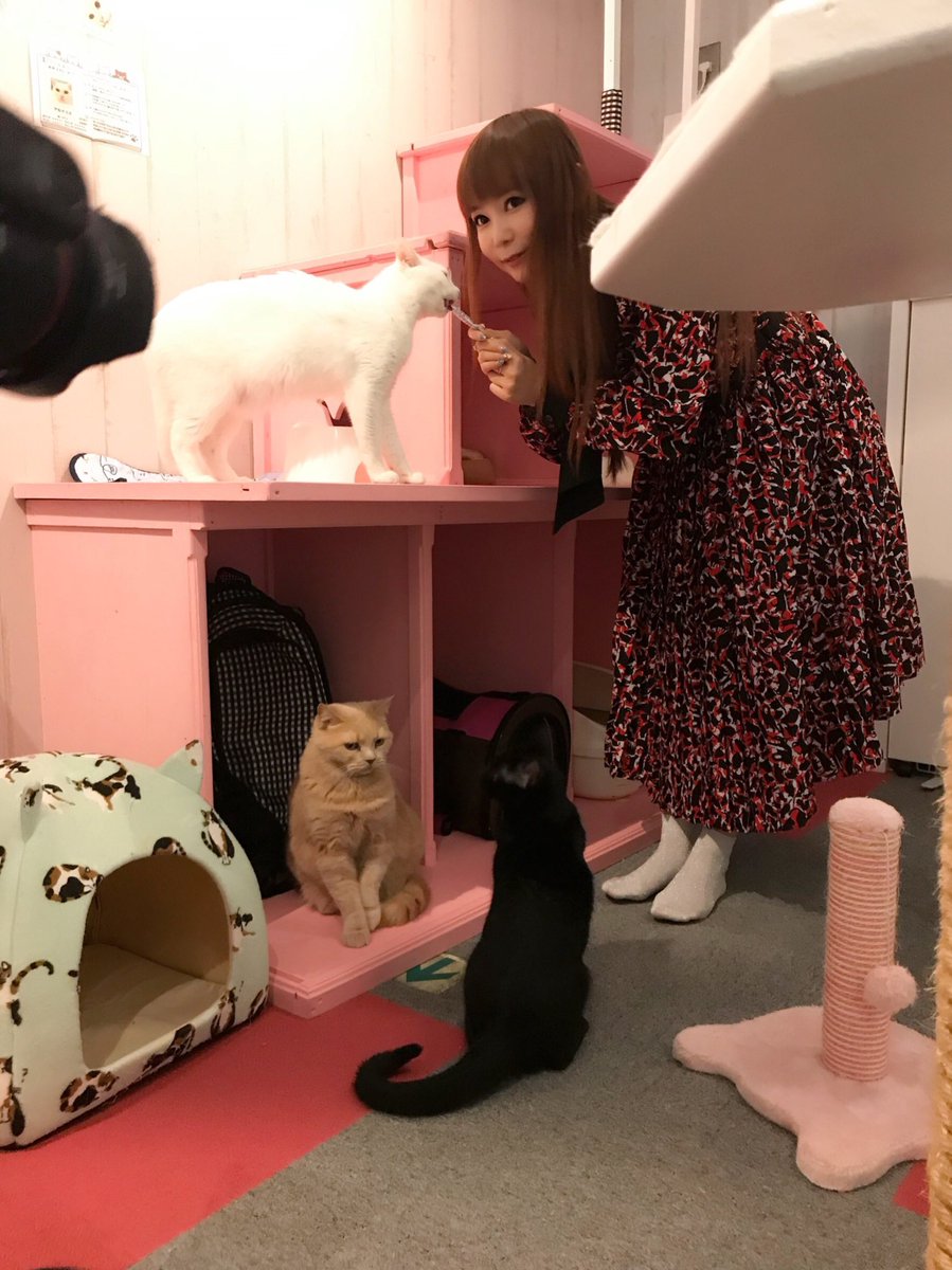 初登場第1位!『ヴェノム』は種族を超えた ...