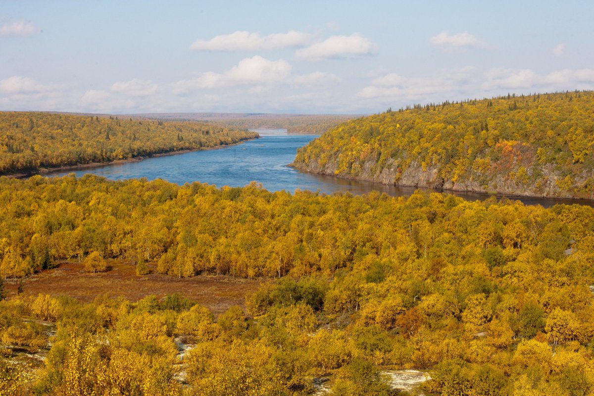MedvedevRussia's tweet image. С праздником, с Днем народного единства!