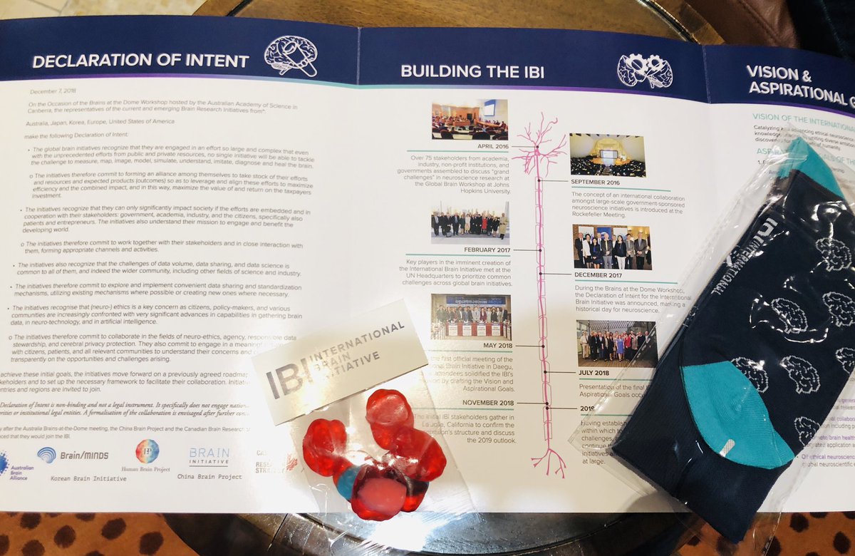 sNeuroble's tweet image. Celebrating international neuroscience collaboration 🤝🌎 #brainbash