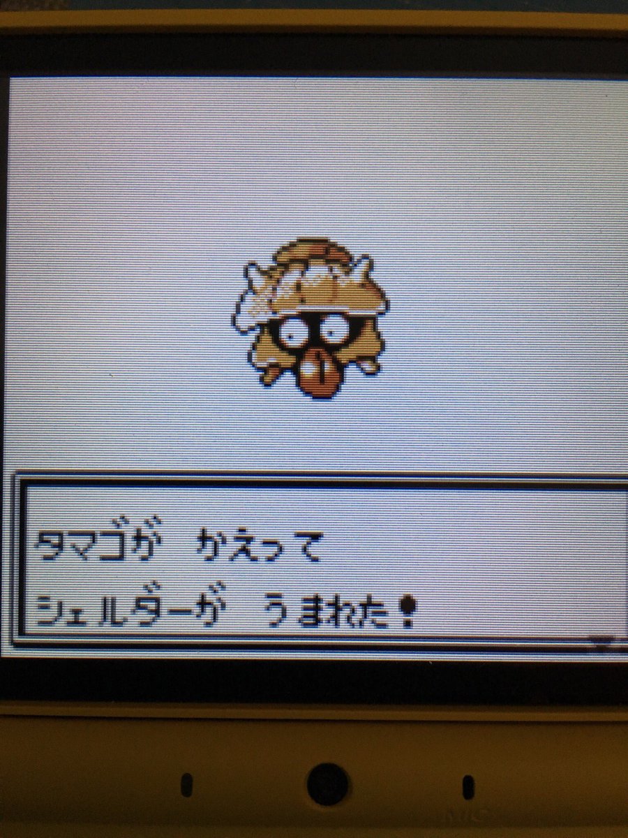 色違いポケモン紹介 Vc産シェルダー 自由に生きてあそblog