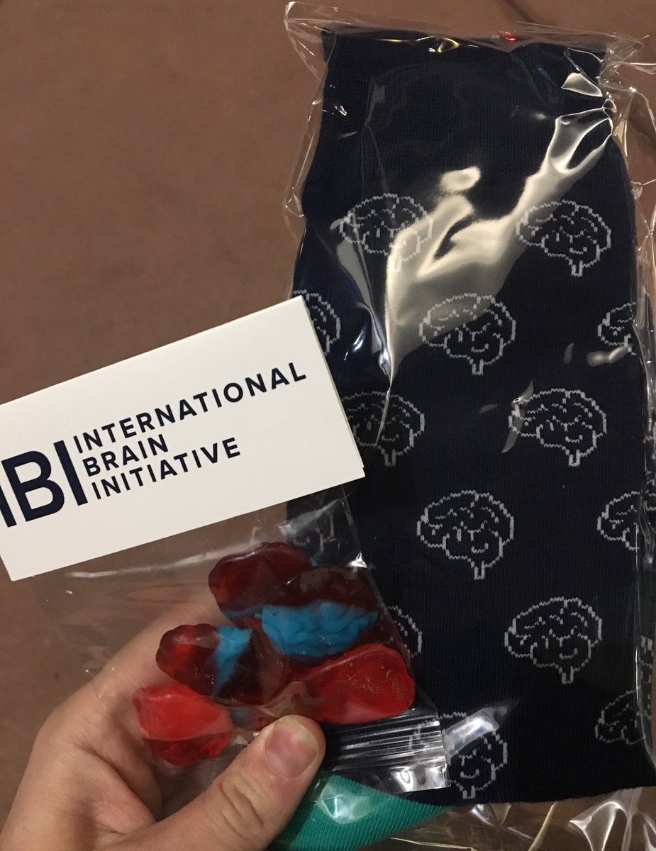 back2brains's tweet image. I may be missing most of #Sfn18 but I got to see @Helena_LB &amp;amp; I got brain socks &amp;amp; candy so that helps make up for it! #BrainBash