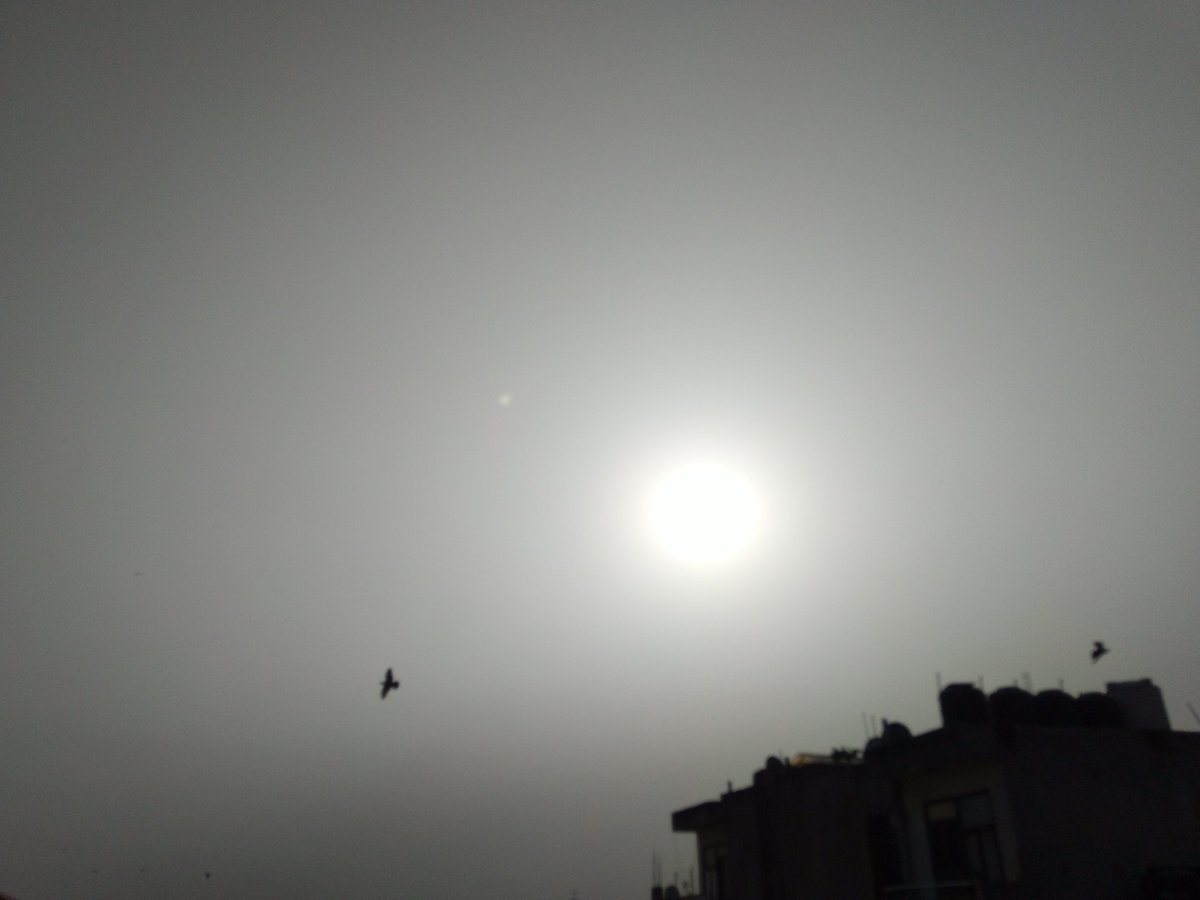 Lazy Sunday morningSubrabhatam