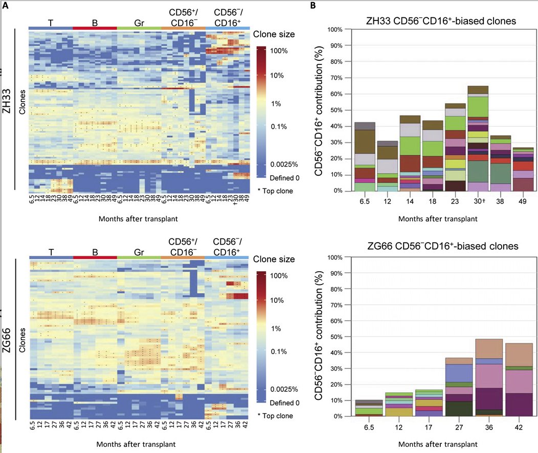 mmw_lmw's tweet photo. #NK_Cell production, expansion, and life histories at a clonal level | Clonal Bias of CD56-CD16+ NK Cell subpopulations | Cynthia Dunbar @NIH @SciImmunology https://t.co/igSRQ1GiCE https://t.co/7zsdomrDO8