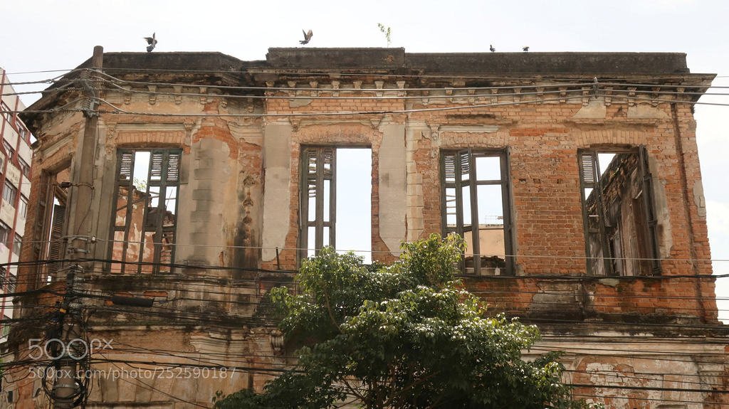 Ruínas - Campos Elíseos - São Paulo - Brazil II (автор фото FernandoCDaSilva) #ruínas,ruins,São Paulo,Brazil,bird,window,brick,architecture,arquitetura,architectural,old,city street,city,antique,abandonment