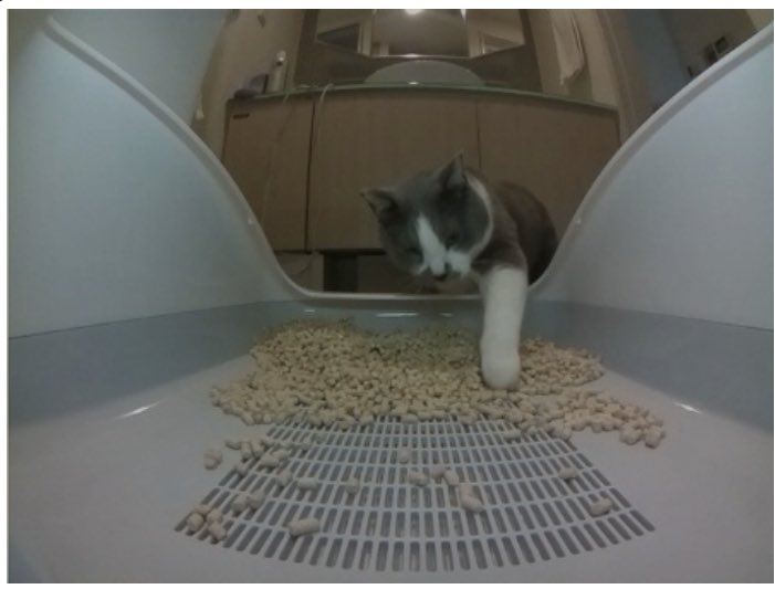 kumaokamako's tweet image. #toletta トレッタのその後
無事にカメラも繋がり、トイレに入った情報が画像と共にアプリで見られるようになりました。

画像はこんな感じのものが、一度トイレに入るたびに６０枚撮られてアプリで保存されています。