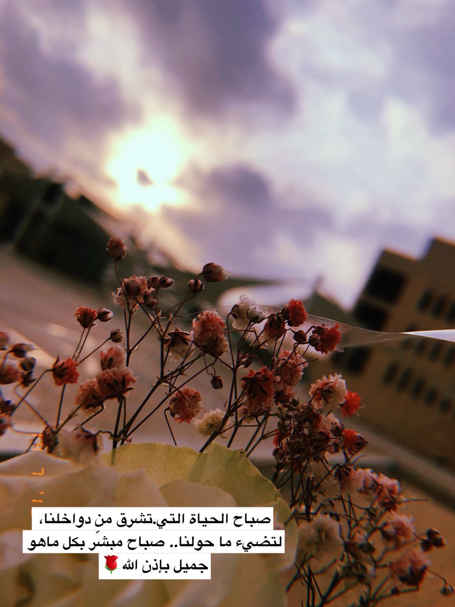wad1414's tweet image. #صباح_الخير #صباح_الورد #imamueng