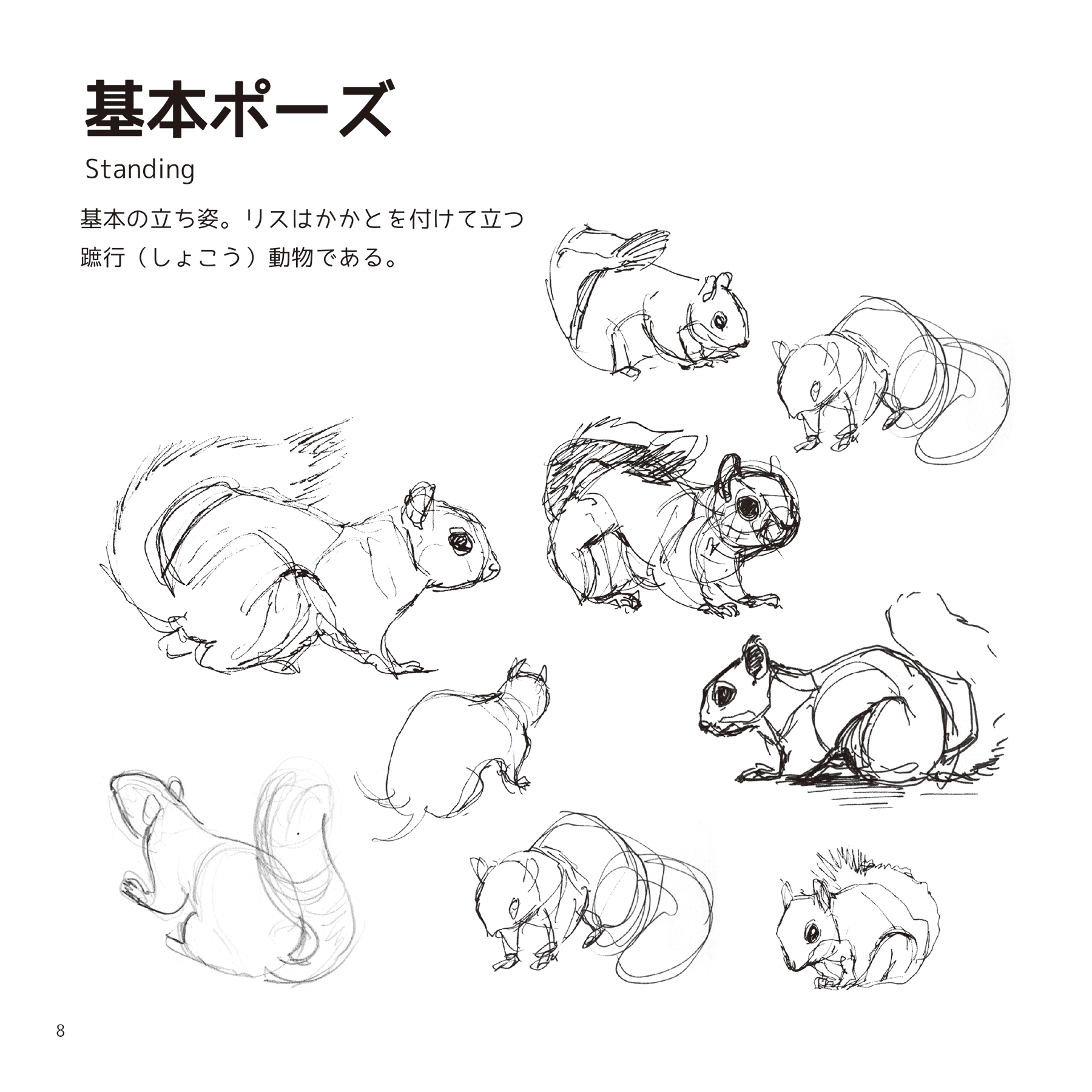 Maki りすマニア なんか想定外に伸びてるのでみんな動物のおしりが好きなんですねｗ 小動物の絵やカタチに興味がおありの方 は私が描いたリスのスケッチ集 リスケッチノート 販売中なのでよろしくお願いします T Co Aqwosmx0z9 T Co