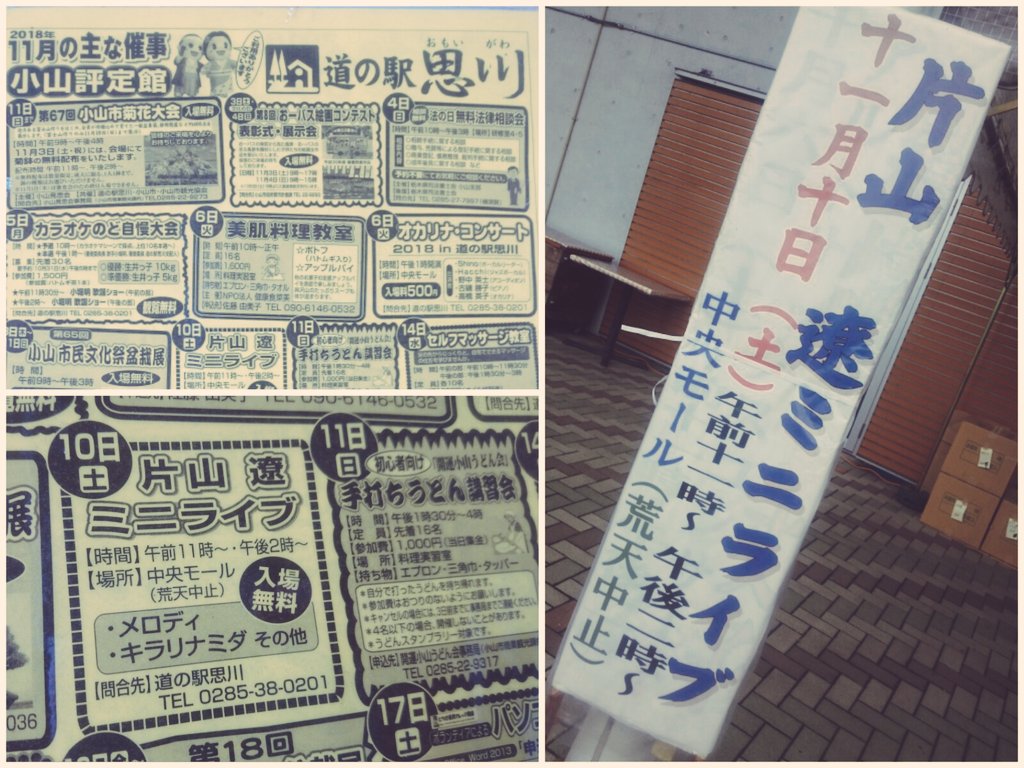 小山市菊花大会 Hashtag On Twitter