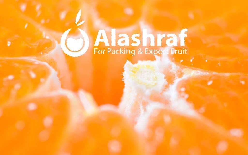 GroupAlashraf tweet picture