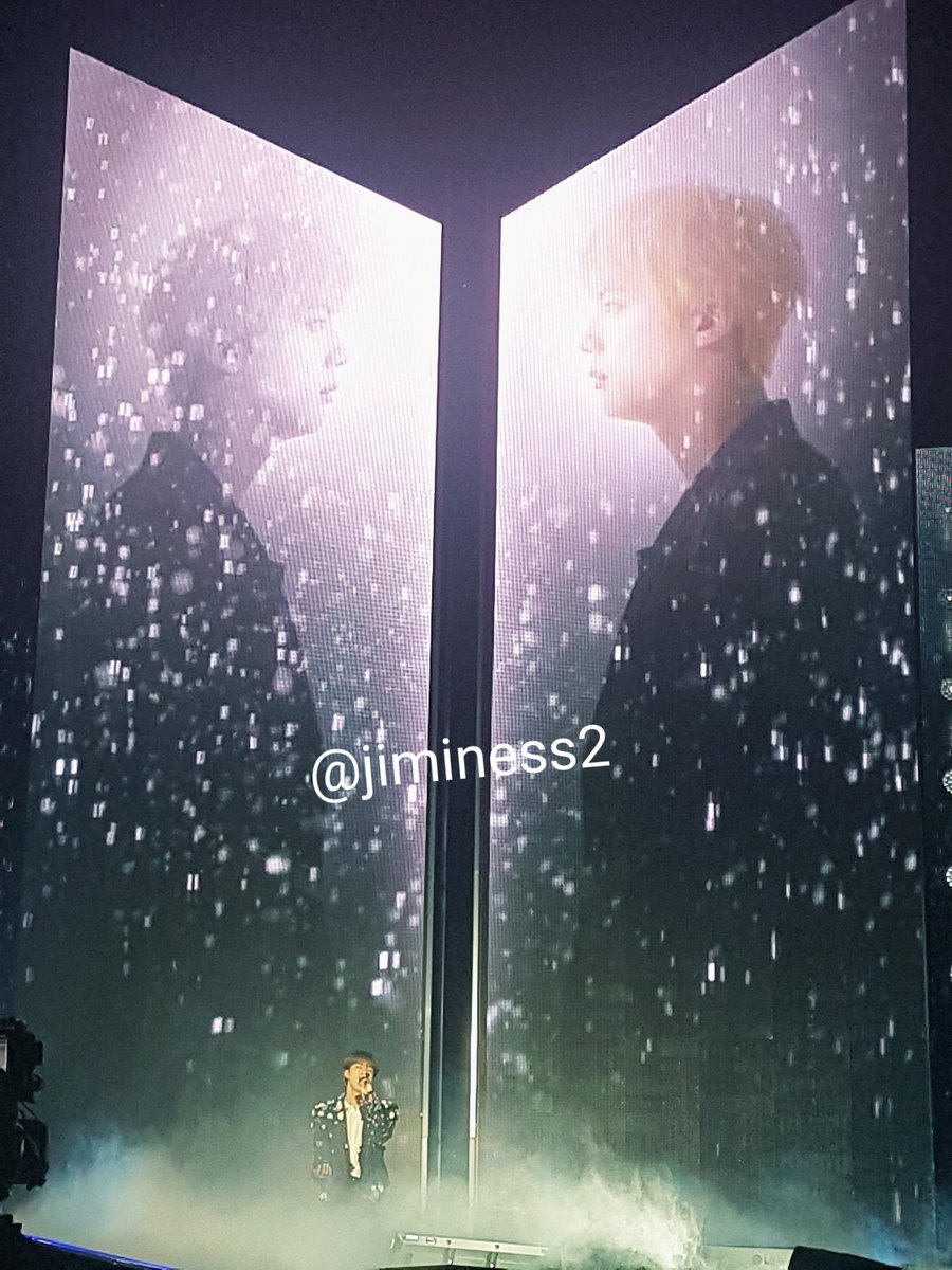 Their beauty... they are so unreal ! And omg Jin's voice, his solo was so marvelous  #BTS  #BTSinParis  #BTSLoveYourselfTour