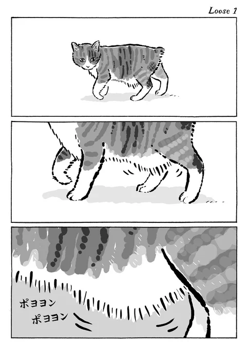 2ページ猫漫画「菊ちゃんのたるみ」 #ルーズスキン #原始的な袋 
