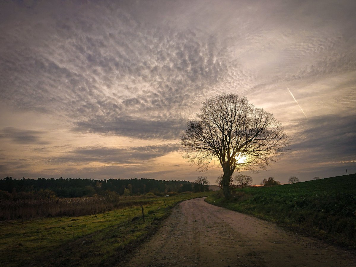 Paweł Charkiewicz | Fotografia tweet media