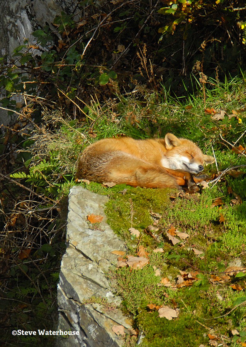 Time for that Sunday lie-in...