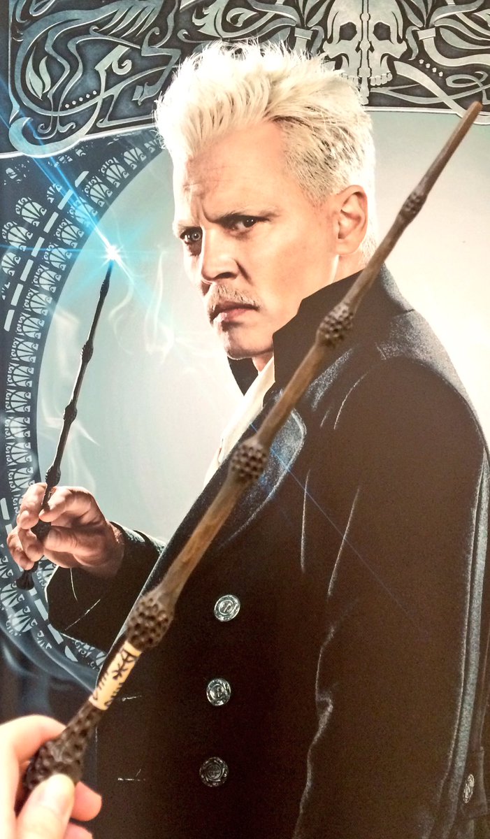 ニワトコの杖はハリポタだとダンブルドア先生の印象がありますが