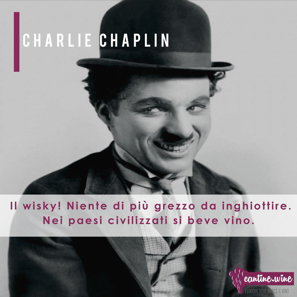 cantine_wine's tweet photo. Taste Italian wines.
Visit the cellars 
and get the secrets from the professionals in the sector.
https://t.co/25embUF4Gr
💻🖱🔜🌍🍷🍁🍂❣️
 #cantinewine #iluoghidovenasceilvino #italianwine #wineaddict #wineaddicted #winelover #winetasting #wineexperience #wineexplorer https://t.co/becOjQiUaj