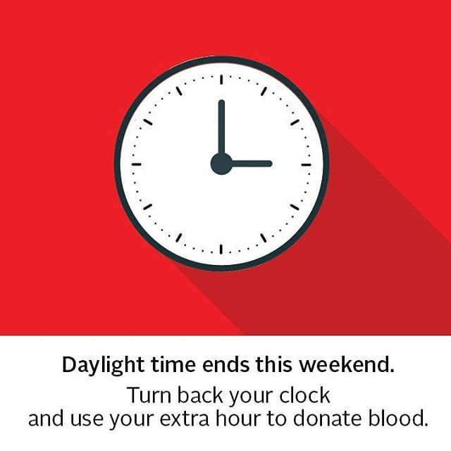 CACCN - Manitoba Chapter tweet media