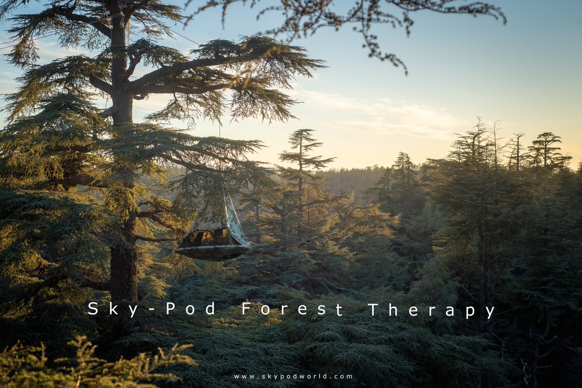 skypodworld's tweet image. Escape to the trees for some forest therapy with Sky-Pod. 
#treetent #camping #forestbathing #Sustainability #USA #California #camps #innovation #Wellbeing #shinrinyoku #mothernature #skypod #foresttherapy
