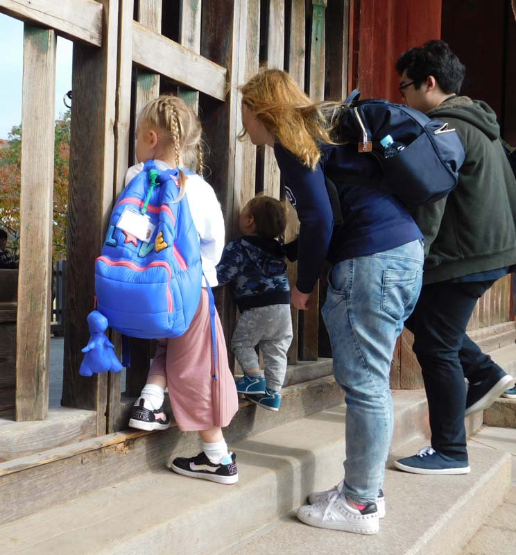 Brise_Marine's tweet photo. 東大寺中門から大仏殿を覗き込む外国人のご家族。
女の子のリュックサックに下がってた迷子札の名前がロシア人っぽかったんで
「Excuse me.Where do you come from?」
と尋ねたら、ホントにロシア人だった。
#narar #奈良公園 #東大寺 https://t.co/6KofDeJ7vr