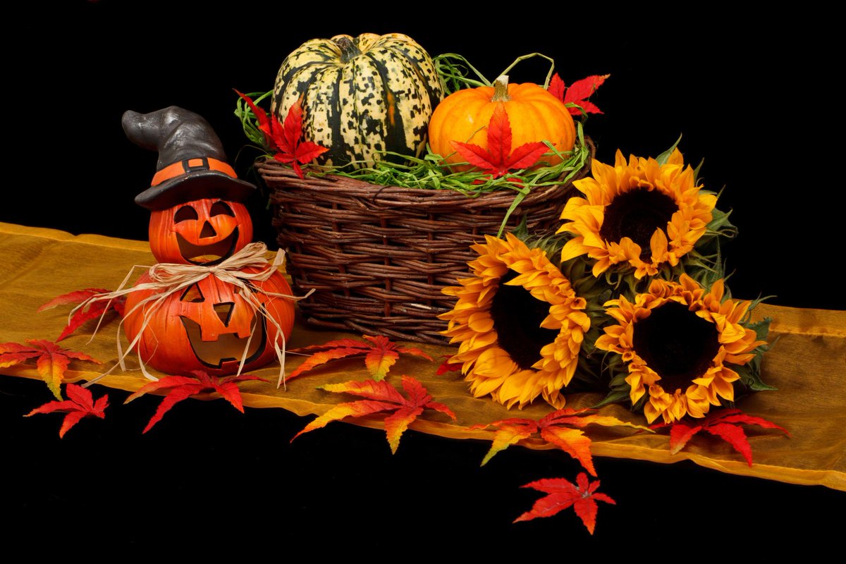 rustya's tweet photo. Happy Halloween! How are you celebrating? https://t.co/5A3iw3efyi