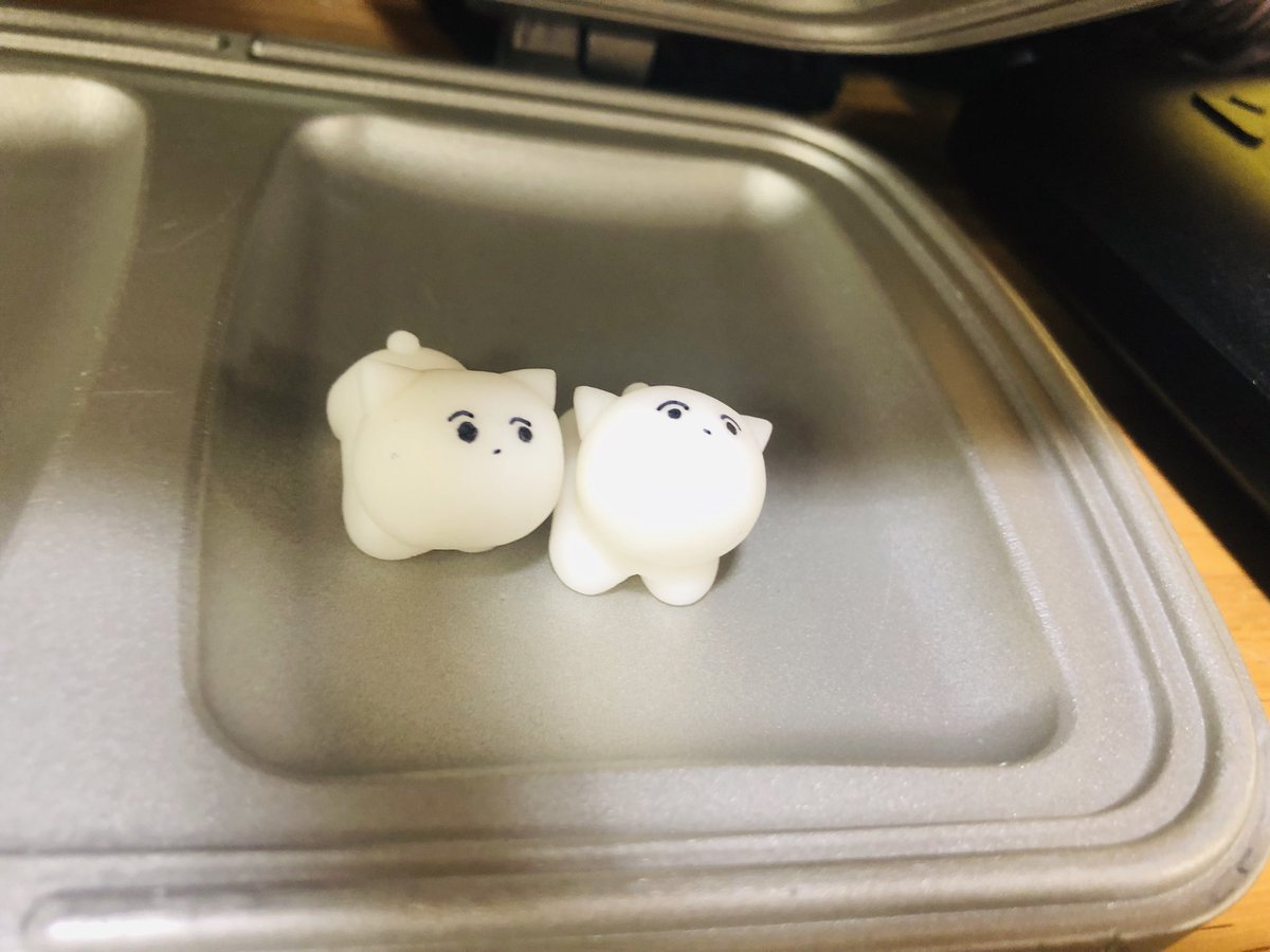 shopping with pome
#shopping
#pome
#camp
#モントベル