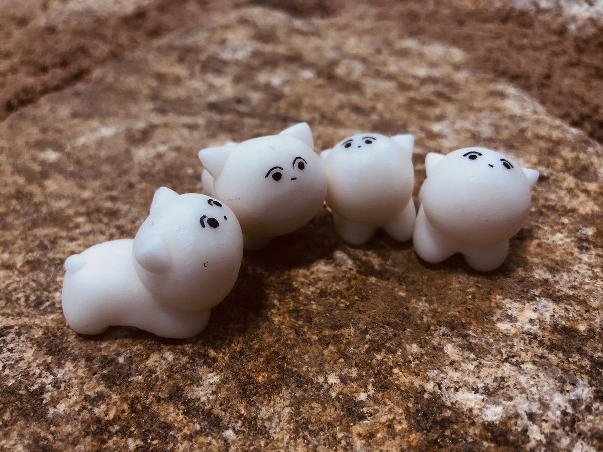 shopping with pome その2
#shopping
#pome
#camp
#モントベル