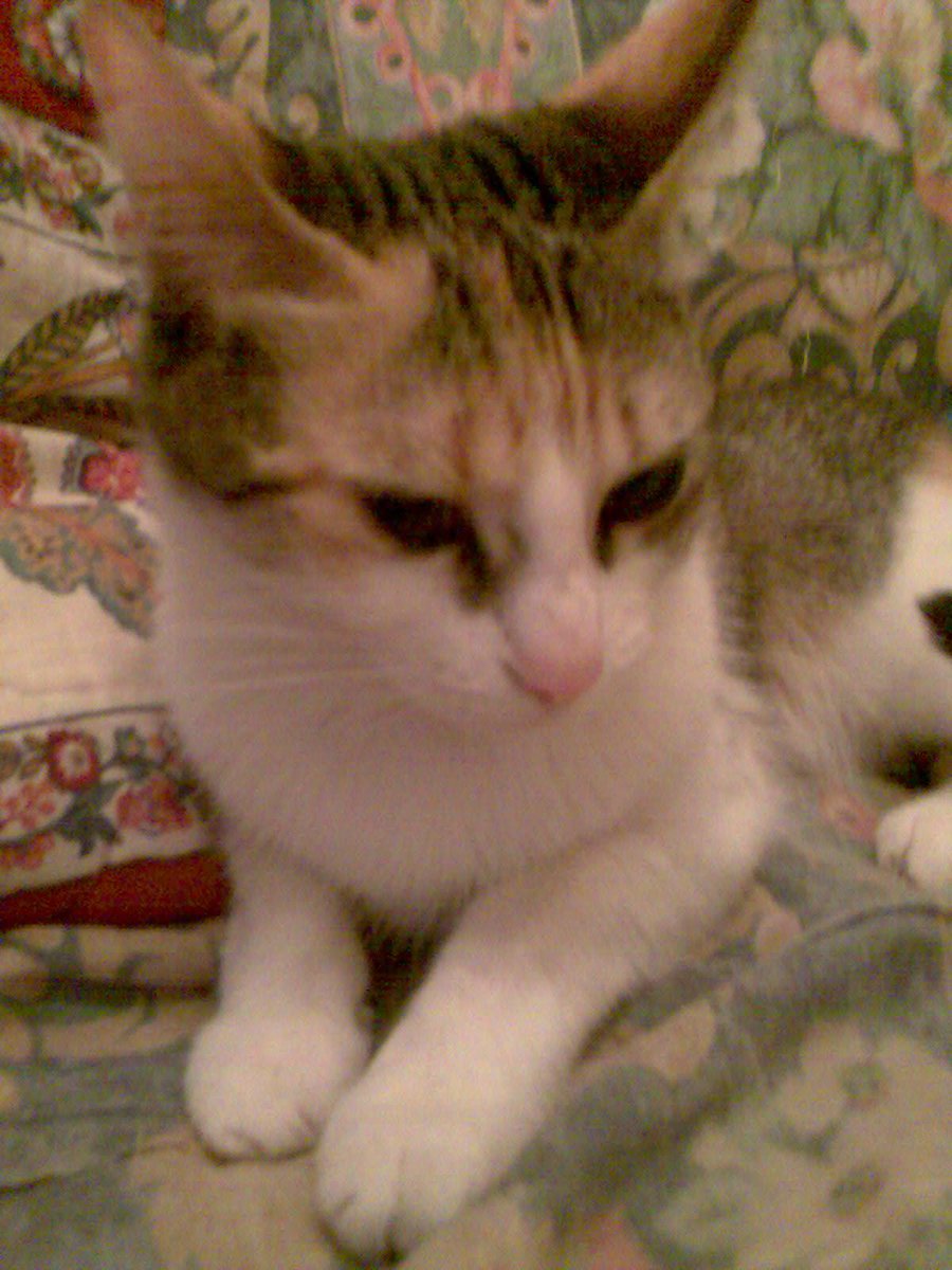 José María Redondo tweet media