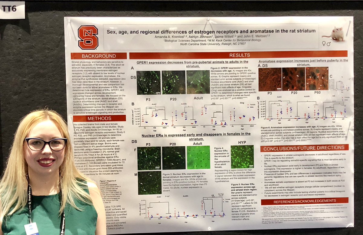 Good morning #SfN2018! The amazing Dr. @amandakrentzel will be at poster TT6 from 8-12pm today spreading the latest on #estrogenreceptor and #aromatase expression in the rat #striatum! Come say hi #👋🏻 #🧠