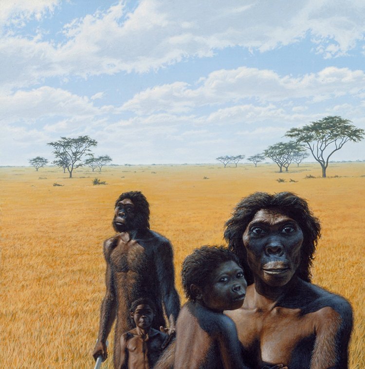 PaleoAnthropology+ on Twitter: "Australopithecus africanus family ...