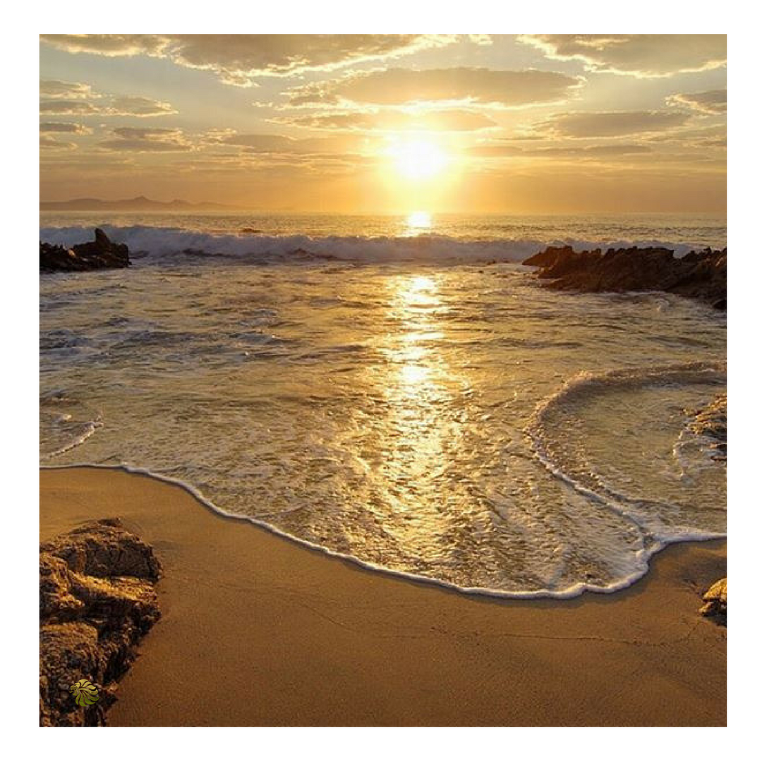 diplomatprotect's tweet photo. The greatest sunsets are in Ibiza ... agreed?
.
.
https://t.co/tyO3z8suYr #ibiza #ibiza2018 #closeprotection #bodyguard #privatesecurity #villasecurity #villasecurityibiza #ibizabodyguard https://t.co/WEvDANxw24